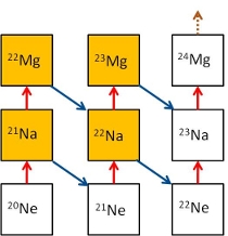 NaNe Cycle